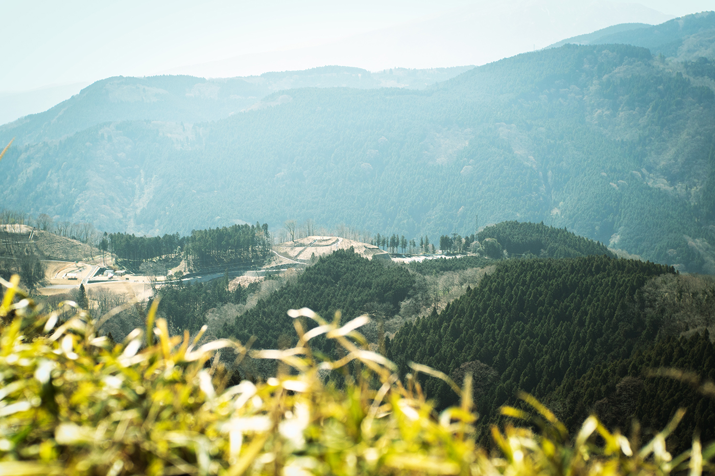 OLYMPUS PEN-F + VoigtLander NOKTON Classic 35mm F1.4 SC 大野山