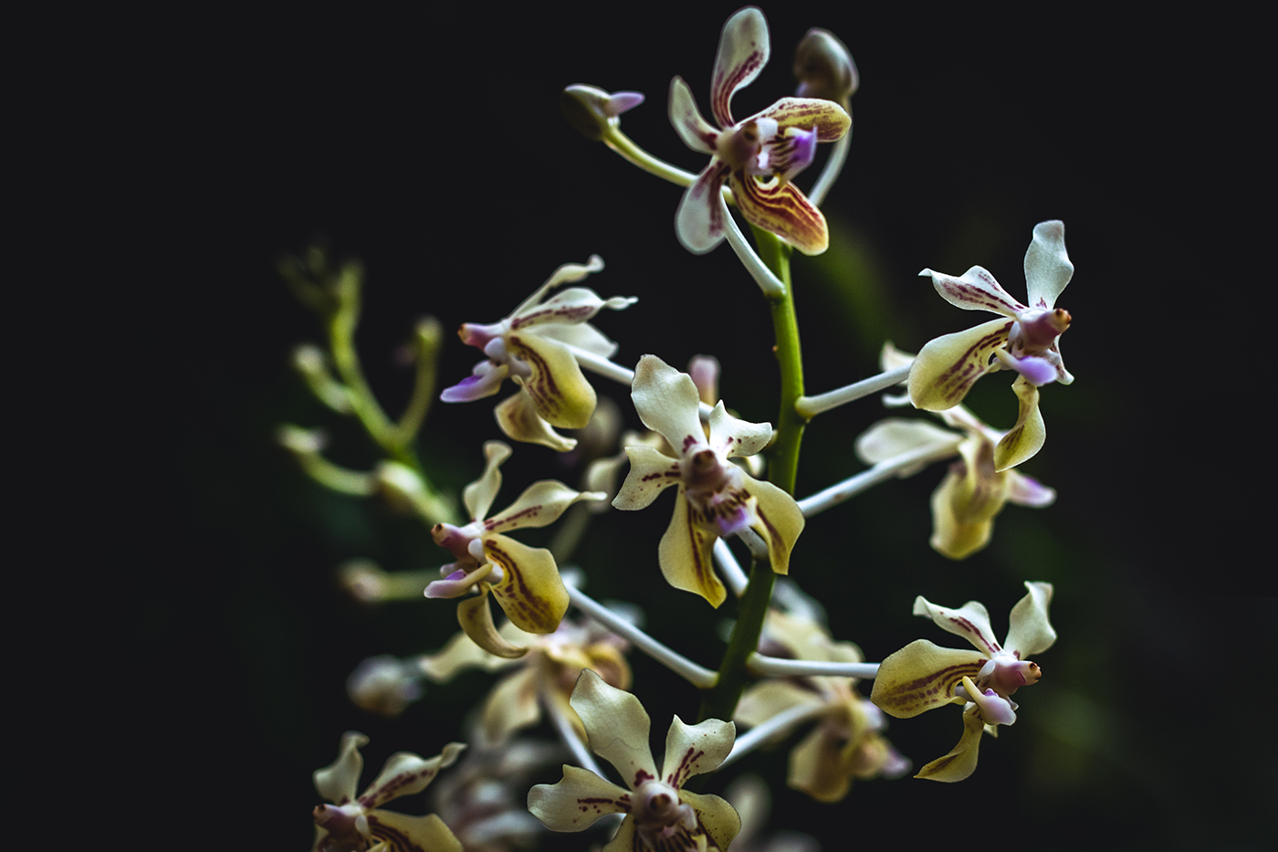 写真作品