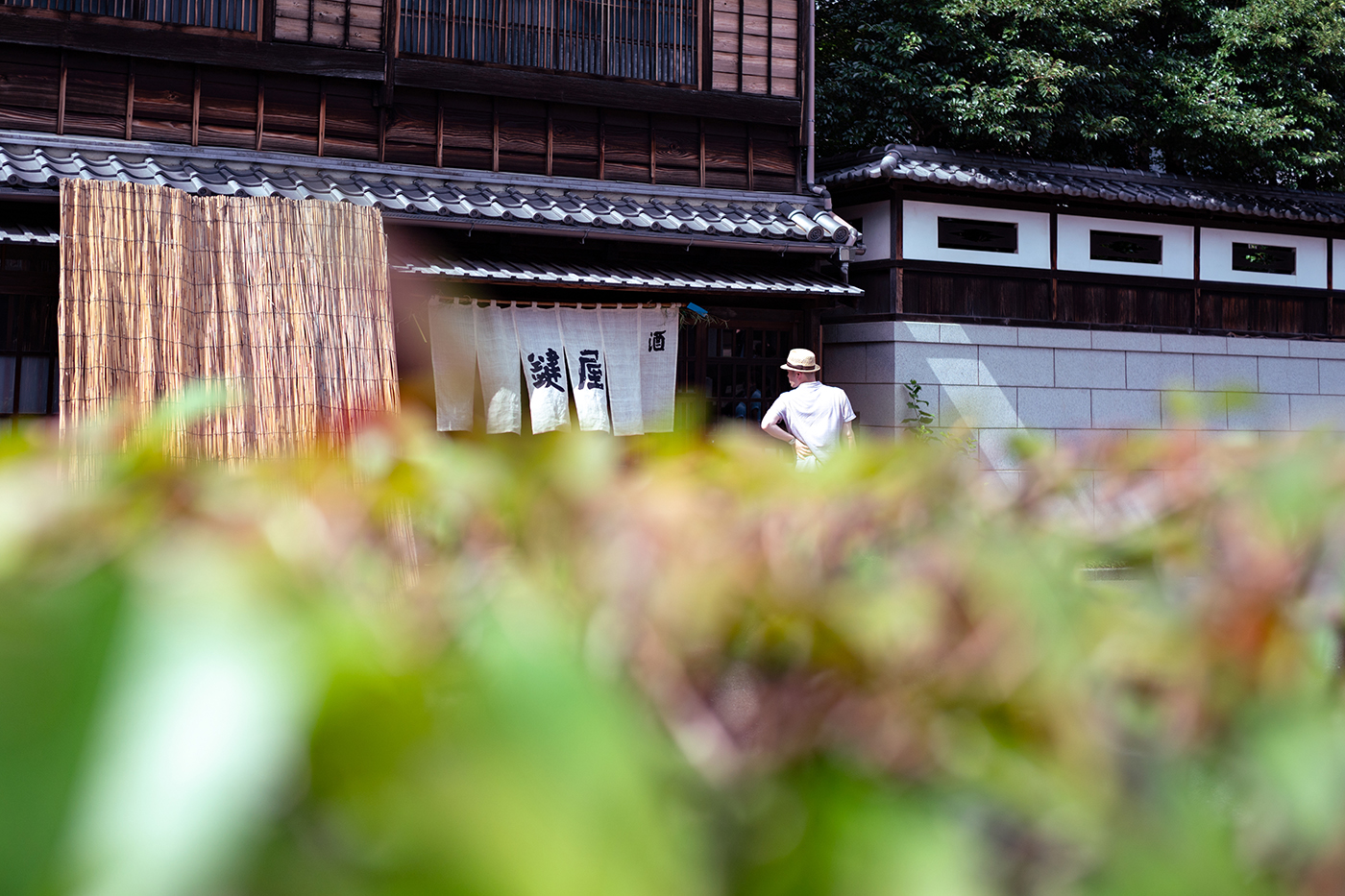 写真作品