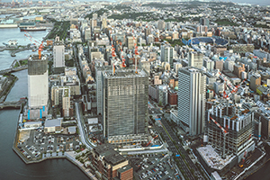 写真作品