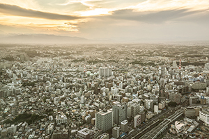 写真作品