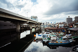 写真作品
