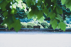 写真作品