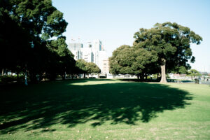 写真作品