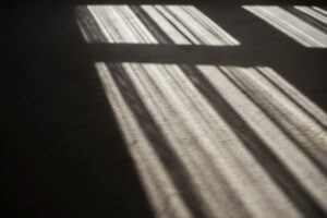 写真作品