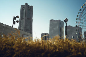 写真作品