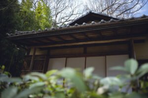 写真作品
