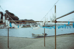 写真作品