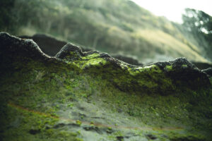 写真作品