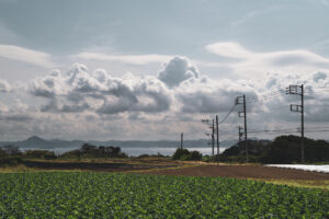 写真作品