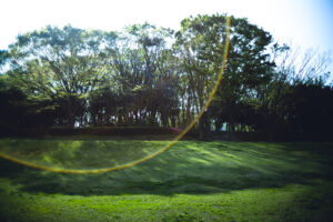 写真作品