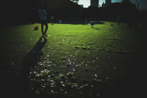 写真作品