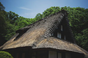 写真作品