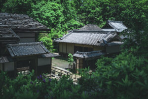 写真作品