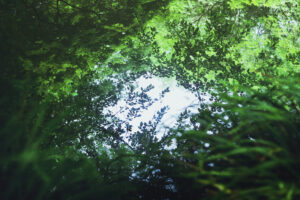 写真作品