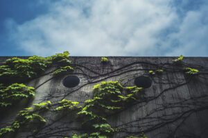 写真作品