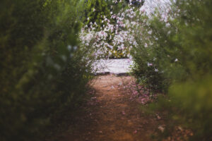写真作品