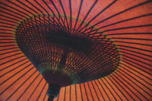写真作品