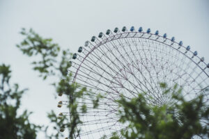 写真作品