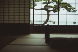 写真作品