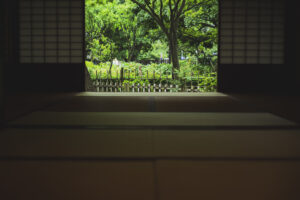写真作品