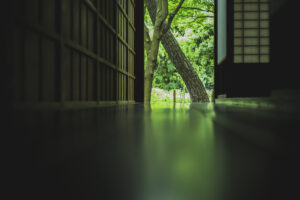 写真作品