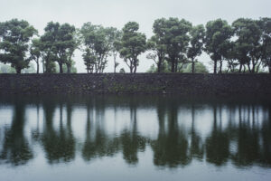 写真作品