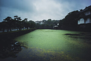 写真作品