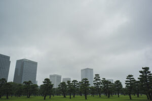写真作品