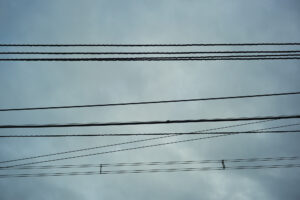 写真作品