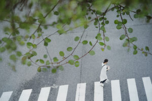 写真作品