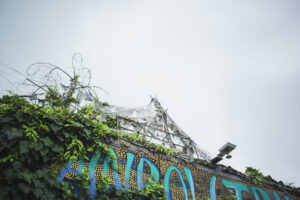 写真作品