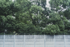 写真作品