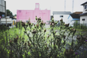 写真作品