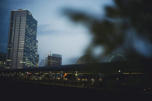 写真作品