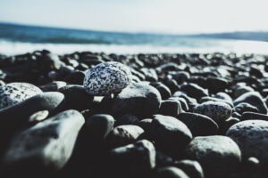 写真作品