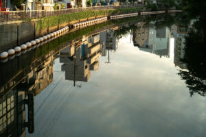 写真作品