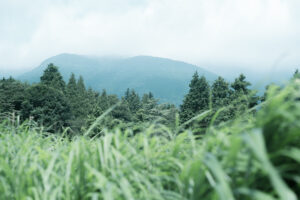 写真作品