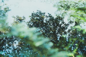 写真作品