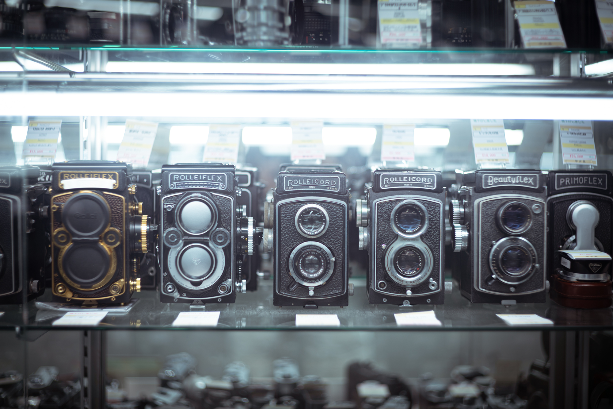 CANON 50mm F1.8の写真04