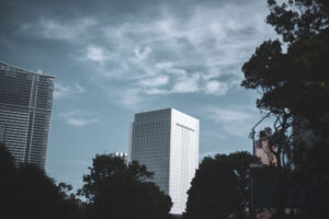 写真作品