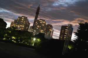 写真作品