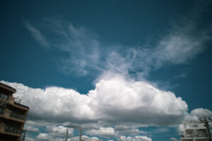 写真作品
