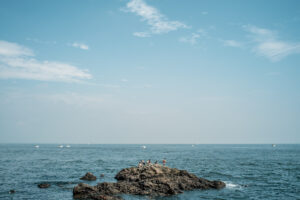 写真作品