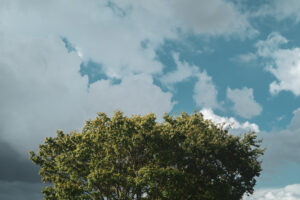 写真作品