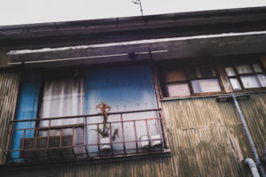 写真作品