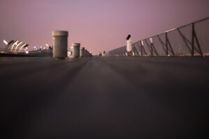 写真作品