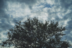 写真作品