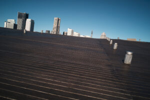 写真作品