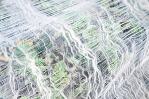 写真作品